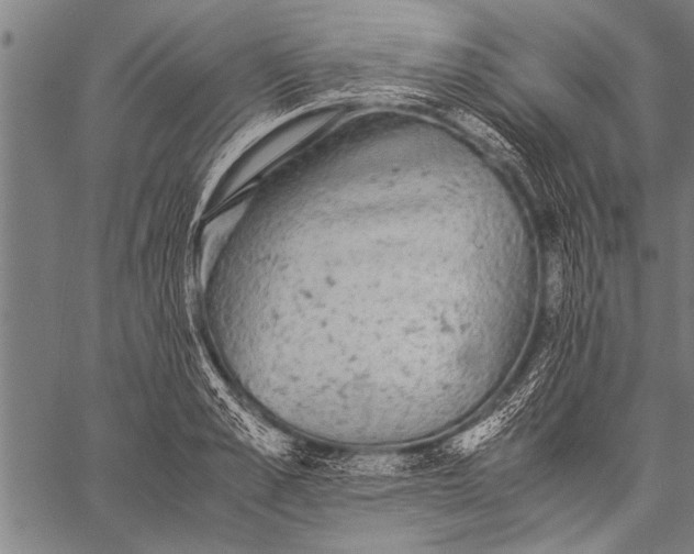 X0000057100989200509301612