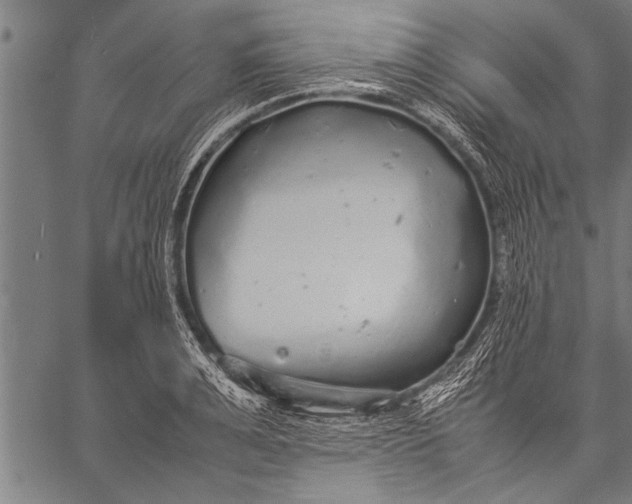 X0000057100991200509301612