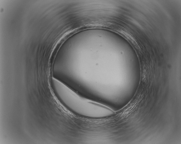 X0000057100992200509301612