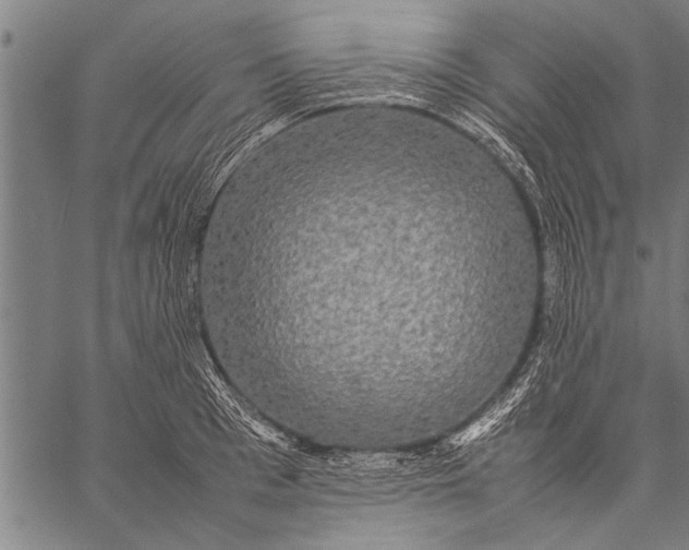 X0000057100993200509301612