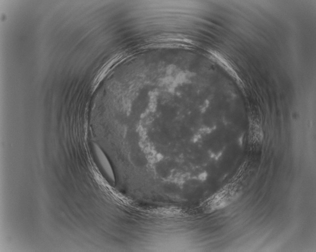 X0000057100994200509301612