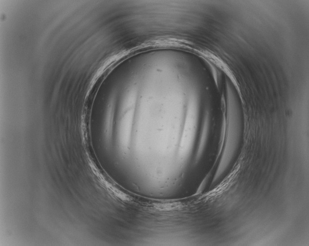 X0000057100997200509301612