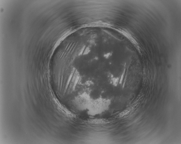 X0000057100998200509301612