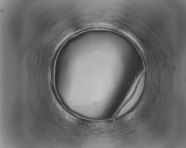 X0000057100999200509301612