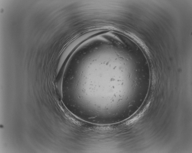 X0000057101001200509301612