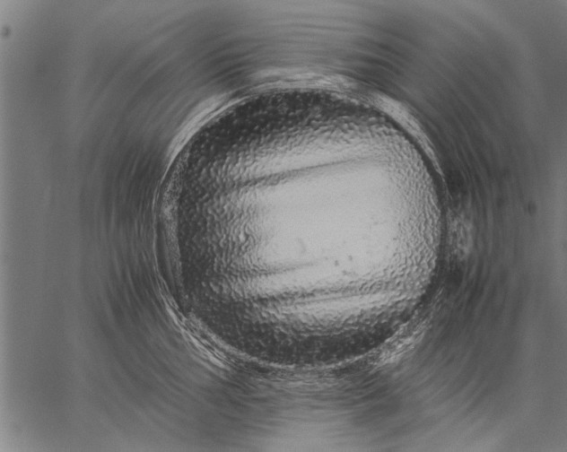 X0000057101002200509301612