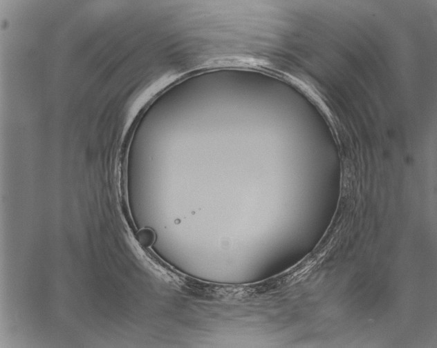 X0000057101003200509301612