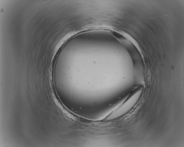 X0000057101005200509301612