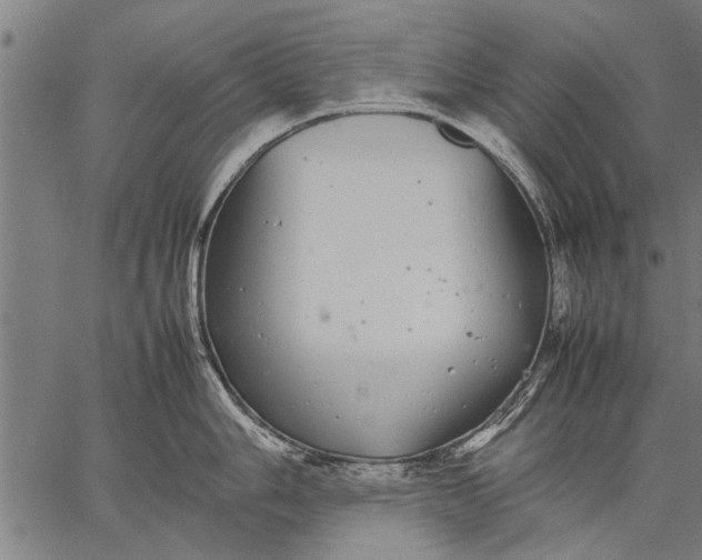 X0000057101006200509301612