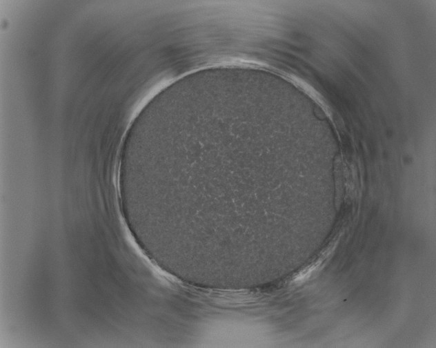 X0000057101007200509301612