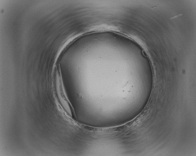 X0000057101008200509301612