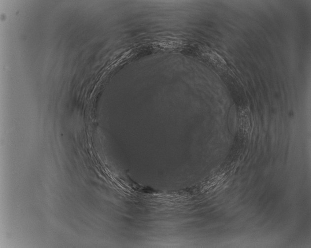 X0000057101009200509301611