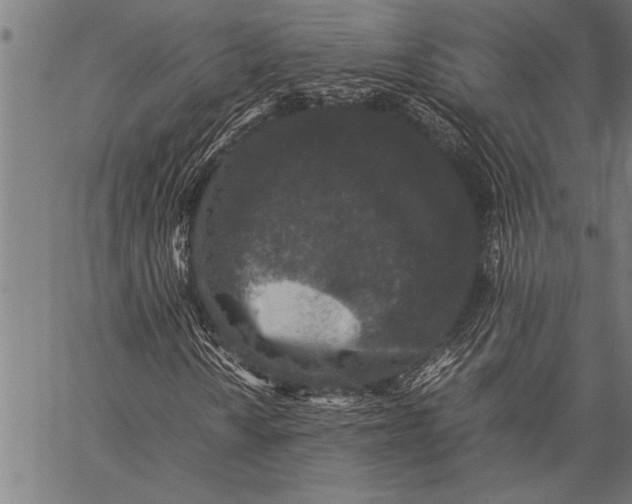 X0000057101010200509301611