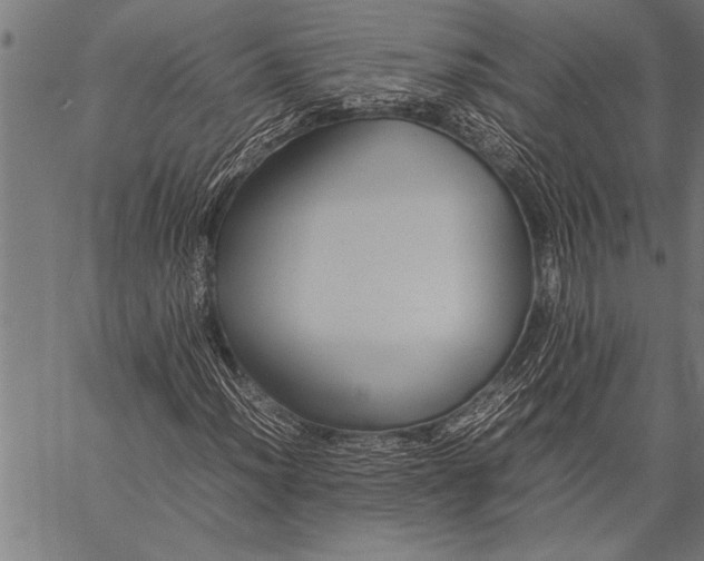 X0000057101012200509301611