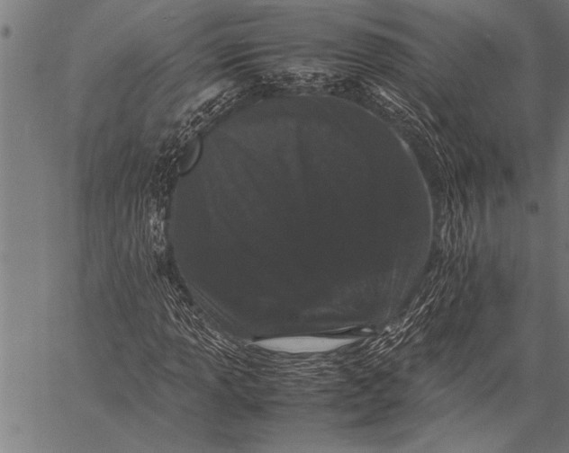 X0000057101013200509301611