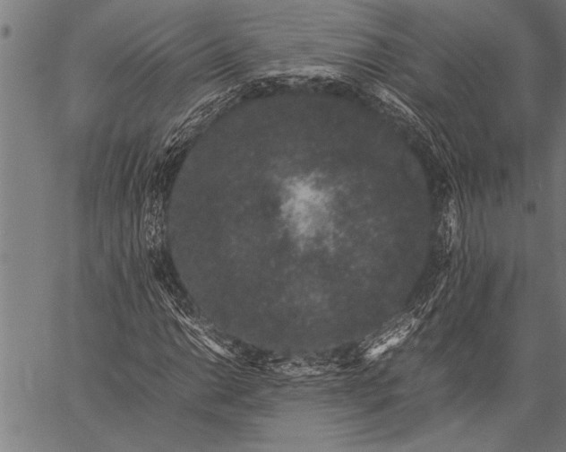 X0000057101014200509301611