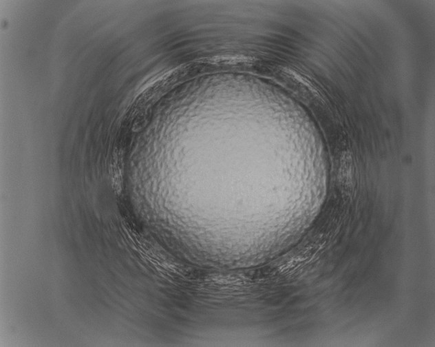 X0000057101015200509301611