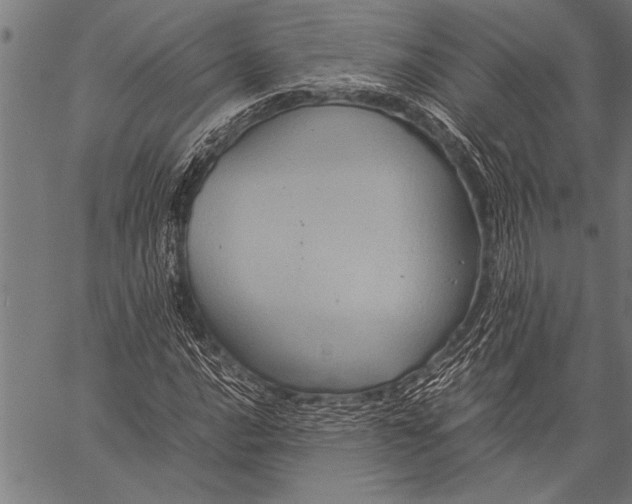 X0000057101016200509301611