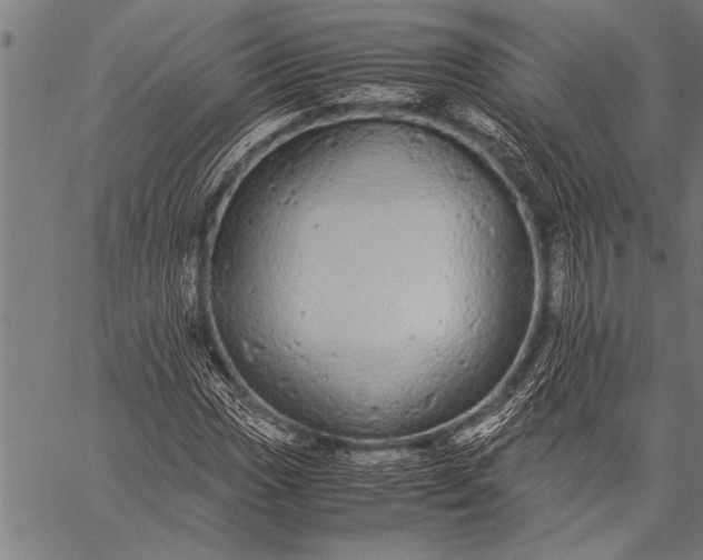 X0000057101017200509301611