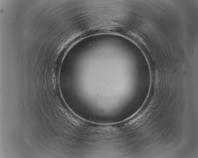 X0000057101018200509301611