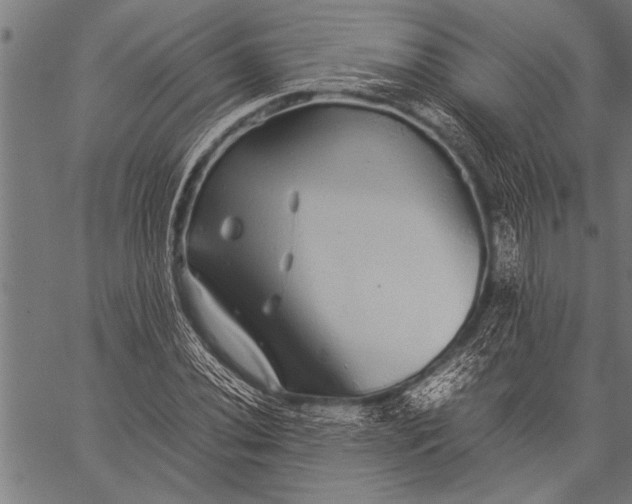 X0000057101020200509301611