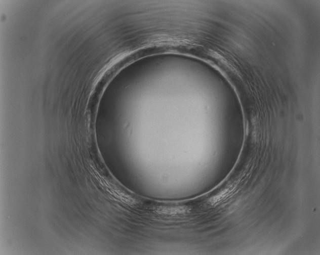 X0000057101021200509301611