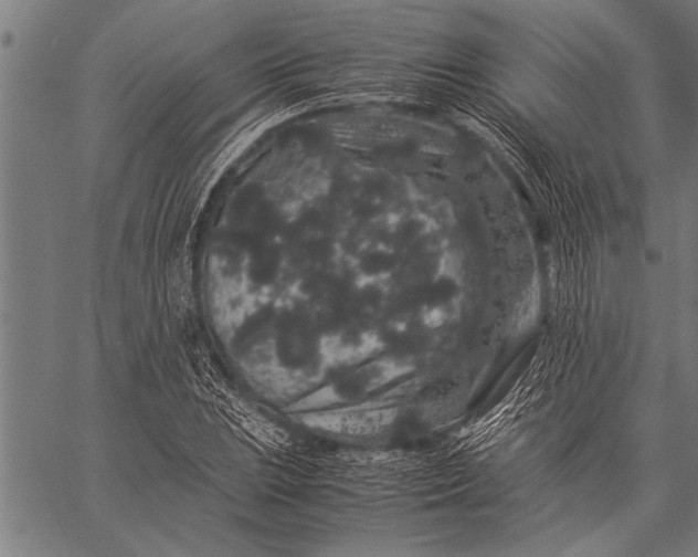 X0000057101023200509301611