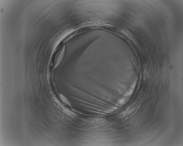 X0000057101024200509301611