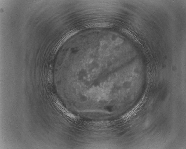 X0000057101025200509301611