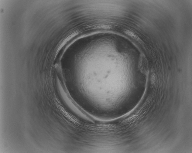 X0000057101026200509301611