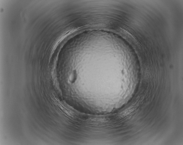 X0000057101027200509301611