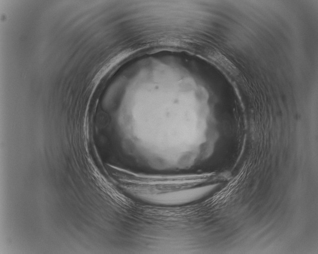 X0000057101028200509301611