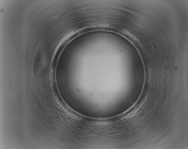 X0000057101029200509301611