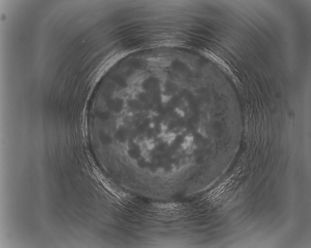 X0000057101031200509301611