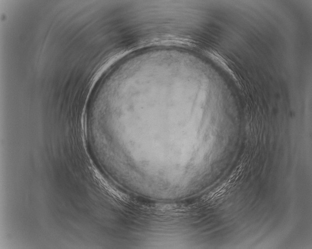 X0000057101032200509301611