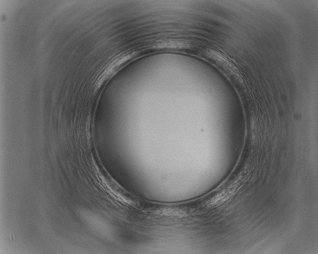 X0000057101033200509301611