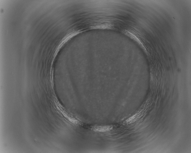 X0000057101035200509301612