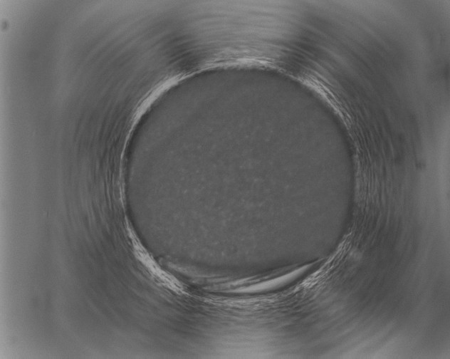 X0000057101038200509301612