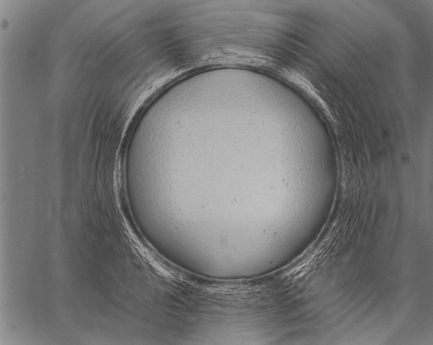 X0000057101040200509301612