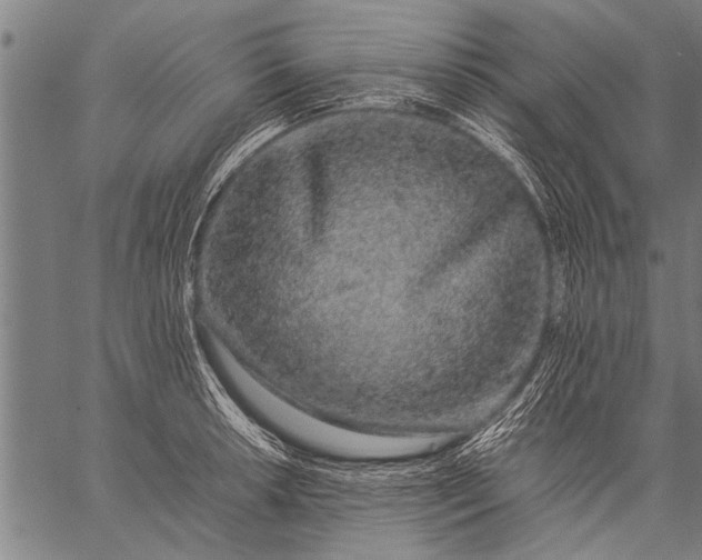 X0000057101042200509301612