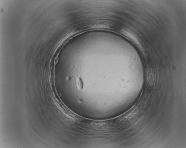 X0000057101043200509301612