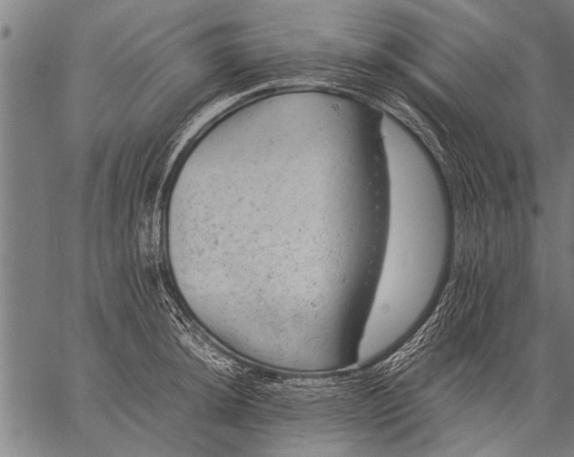 X0000057101044200509301612