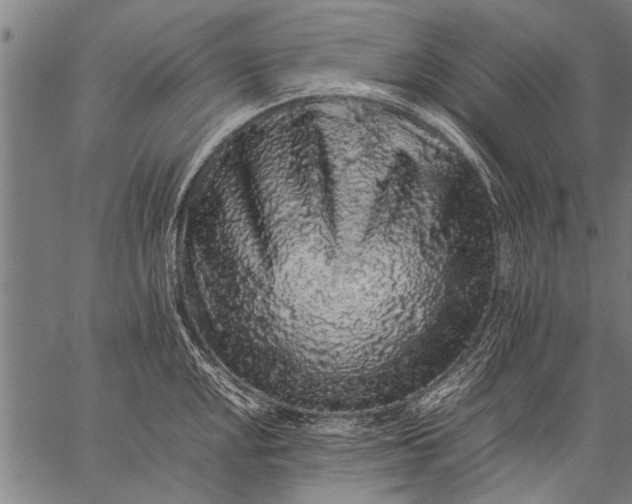 X0000057101048200509301612