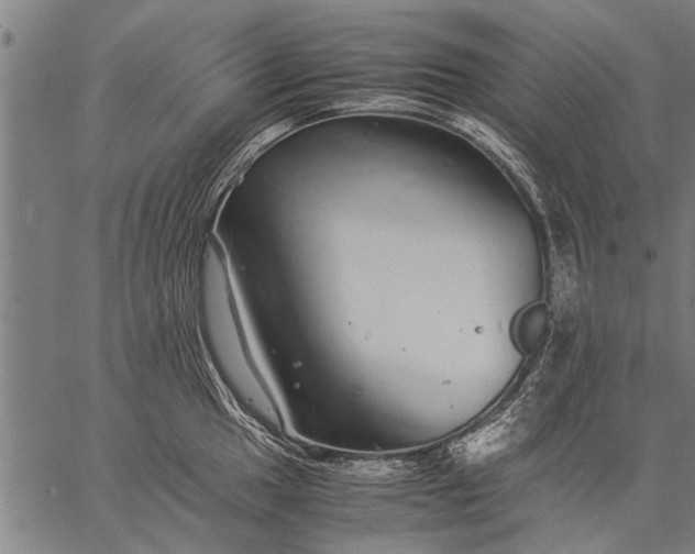 X0000057101049200509301612