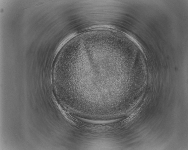 X0000057101050200509301612