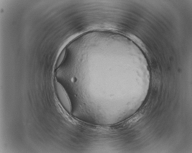 X0000057101052200509301612