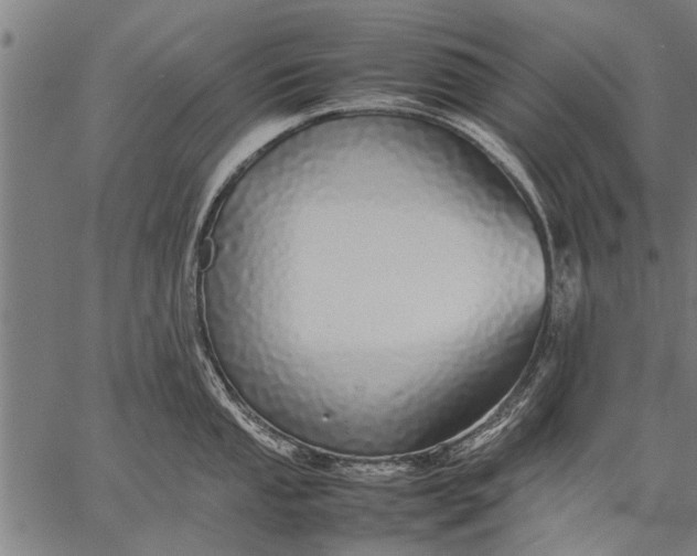 X0000057101053200509301612