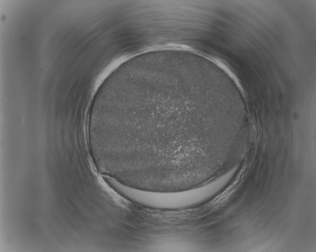 X0000057101054200509301612