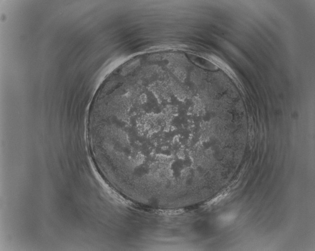 X0000057101055200509301612