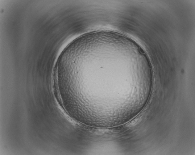 X0000057101056200509301612